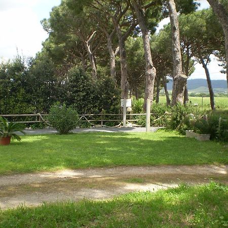 Agriturismo Ternova Alberese Eksteriør billede