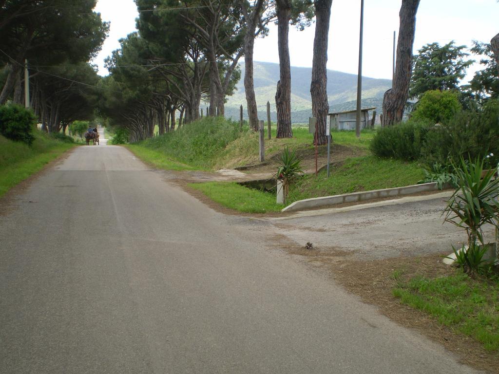 Agriturismo Ternova Alberese Eksteriør billede